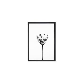 Tablou Tablo Center Misty Splender, 24 x 29 cm