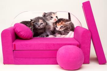 Canapea pentru copii Pisicuţe - roz